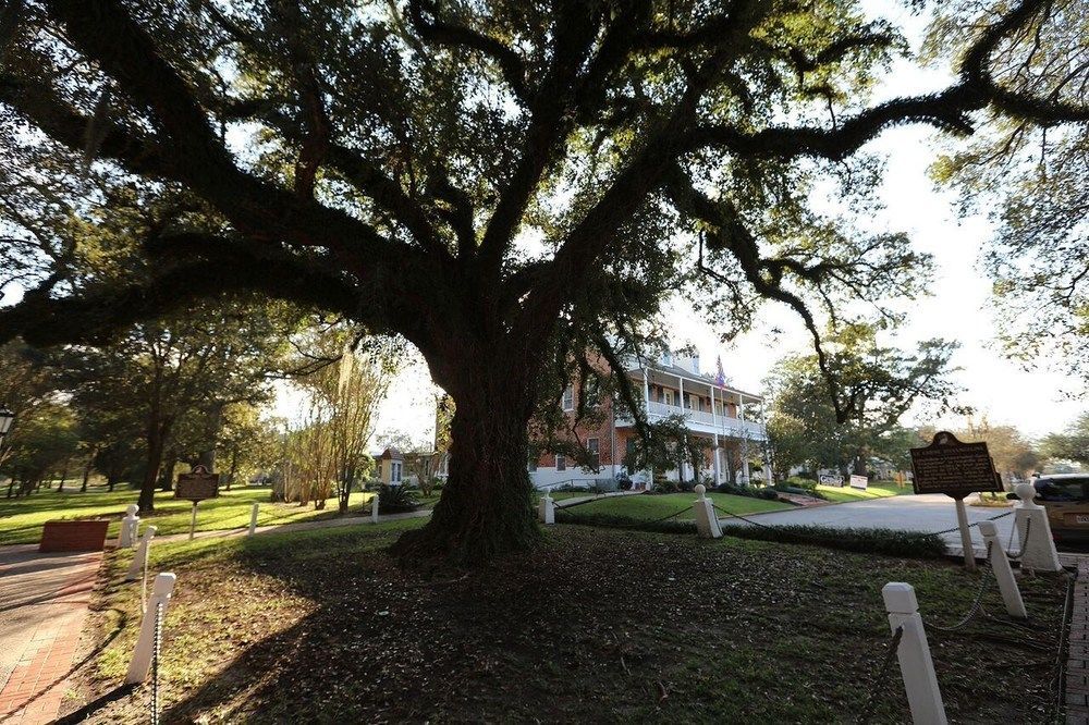 Old Castillo Bed And Breakfast Saint Martinville Exterior photo
